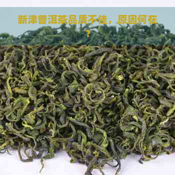 新津普洱茶品质不佳，原因何在？