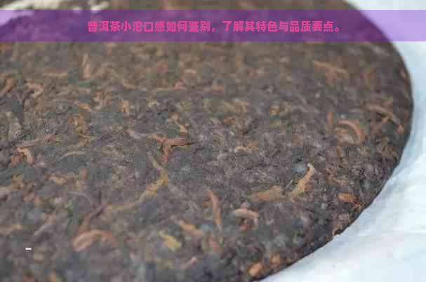 普洱茶小沱口感如何鉴别，了解其特色与品质要点。