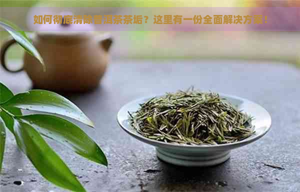 如何彻底清除普洱茶茶垢？这里有一份全面解决方案！