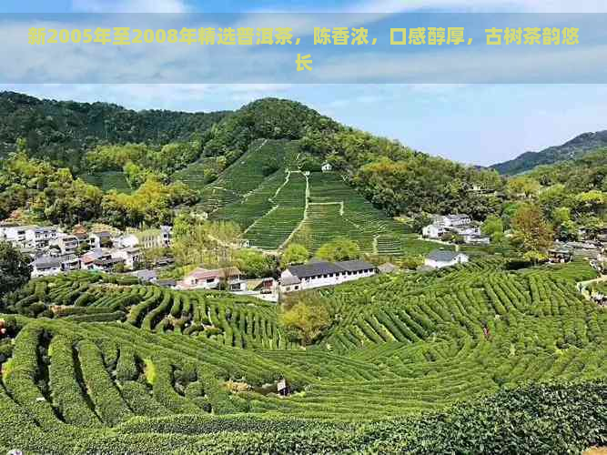 新2005年至2008年精选普洱茶，陈香浓，口感醇厚，古树茶韵悠长