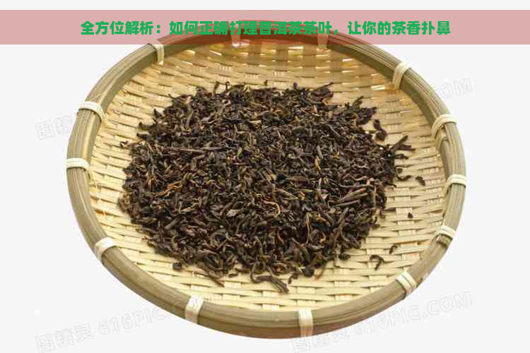 全方位解析：如何正确打理普洱茶茶叶，让你的茶香扑鼻