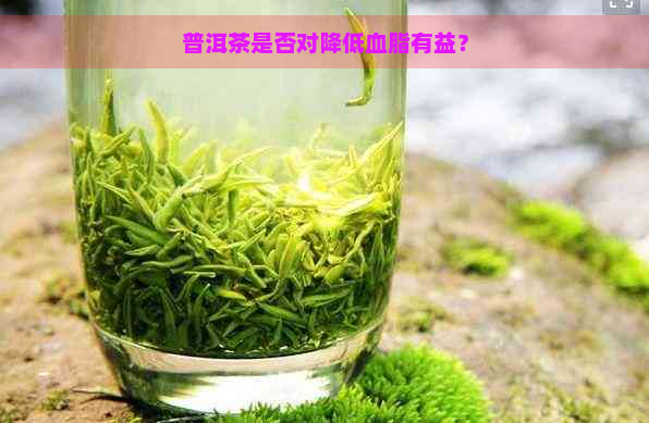 普洱茶是否对降低血脂有益？