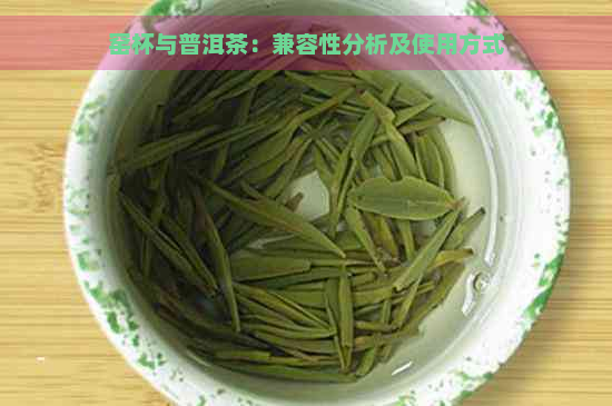 窑杯与普洱茶：兼容性分析及使用方式