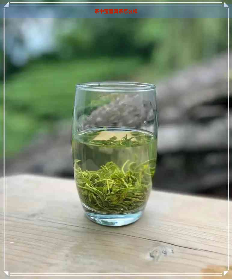 茶中宝普洱茶怎么样