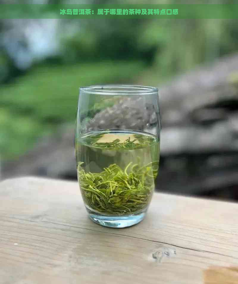 冰岛普洱茶：属于哪里的茶种及其特点口感