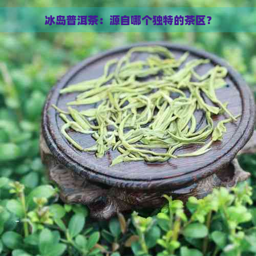 冰岛普洱茶：源自哪个独特的茶区？