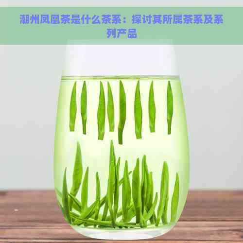 潮州凤凰茶是什么茶系：探讨其所属茶系及系列产品