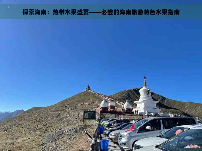 探索海南：热带水果盛宴——必尝的海南旅游特色水果指南