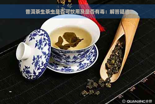 普洱茶生茶虫是否可饮用及是否有：解答疑惑