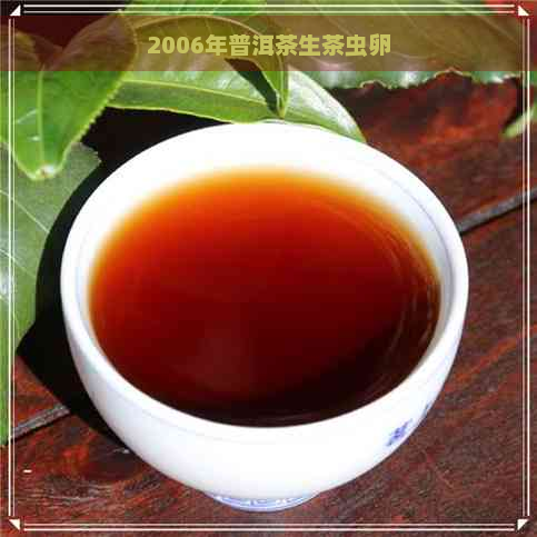 2006年普洱茶生茶虫卵