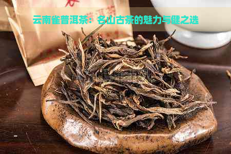 云南雀普洱茶：名山古茶的魅力与健之选