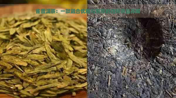 雀普洱茶：一款融合优雅与醇厚的独特茶品详解