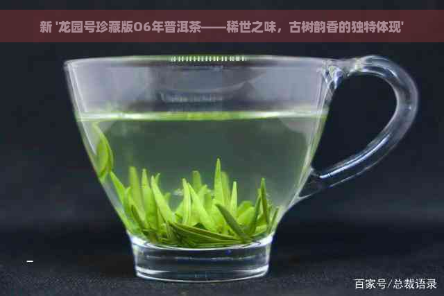 新 '龙园号珍藏版O6年普洱茶——稀世之味，古树韵香的独特体现'