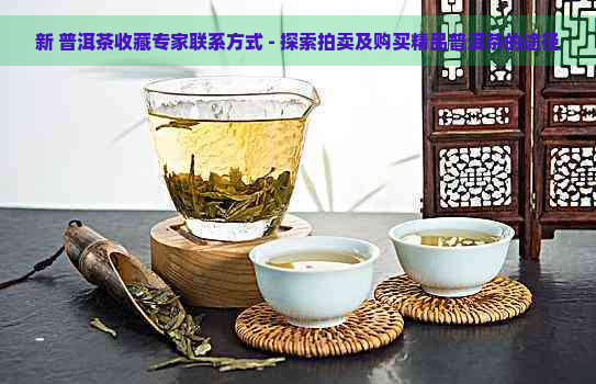 新 普洱茶收藏专家联系方式 - 探索拍卖及购买精品普洱茶的途径