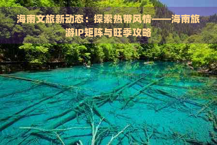 海南文旅新动态：探索热带风情——海南旅游IP矩阵与旺季攻略