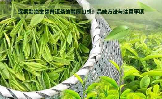 探索勐海金芽普洱茶的醇厚口感：品味方法与注意事项