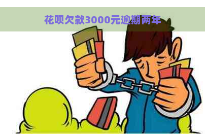 花呗欠款3000元逾期两年