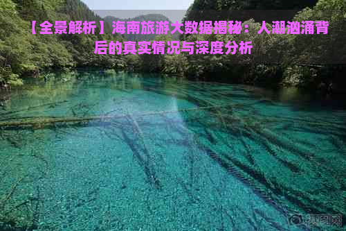 【全景解析】海南旅游大数据揭秘：人潮汹涌背后的真实情况与深度分析