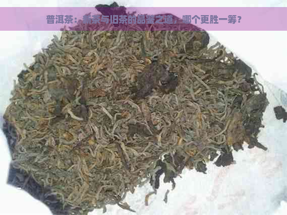 普洱茶：新茶与旧茶的品鉴之道，哪个更胜一筹？