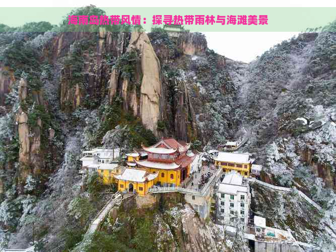 海南岛热带风情：探寻热带雨林与海滩美景