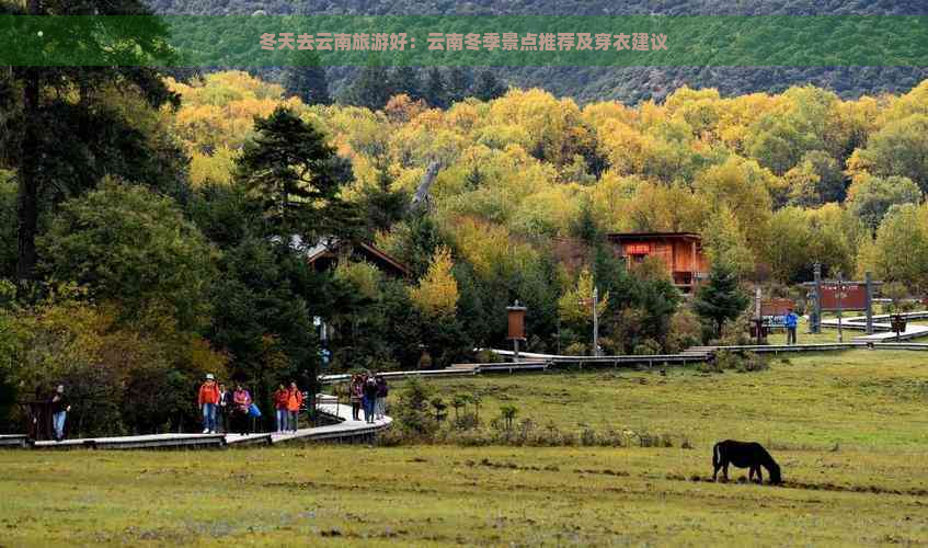 冬天去云南旅游好：云南冬季景点推荐及穿衣建议