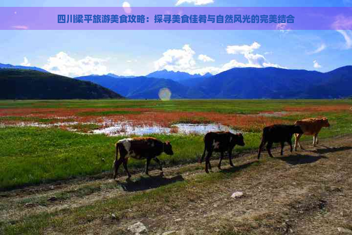 四川梁平旅游美食攻略：探寻美食佳肴与自然风光的完美结合