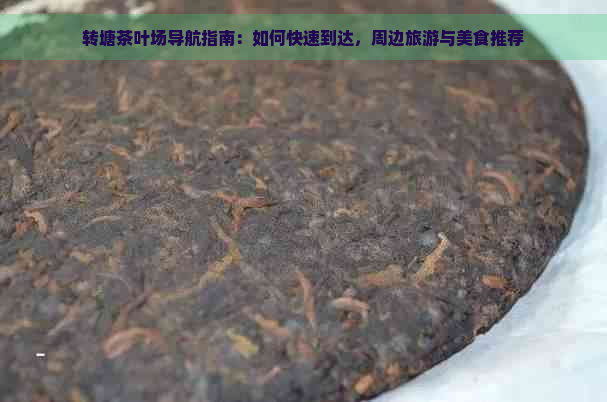 转塘茶叶场导航指南：如何快速到达，周边旅游与美食推荐