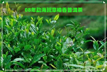 08年勐海班章樟香普洱茶