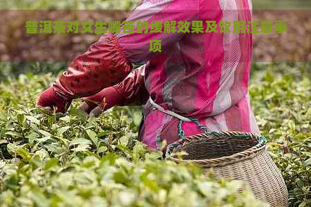 普洱茶对女生嘴苦的缓解效果及饮用注意事项