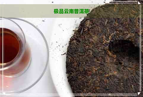 极品云南普洱茶