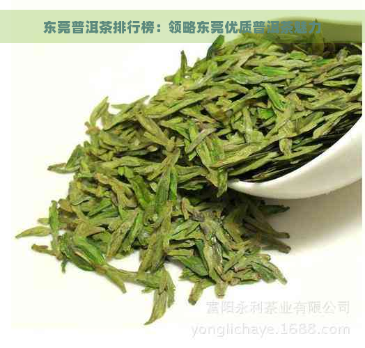 东莞普洱茶排行榜：领略东莞优质普洱茶魅力