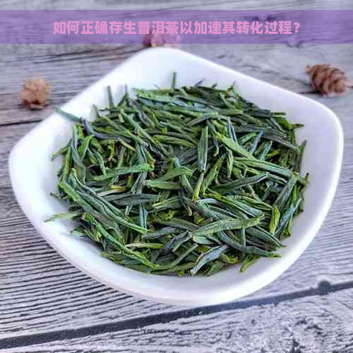 如何正确存生普洱茶以加速其转化过程？