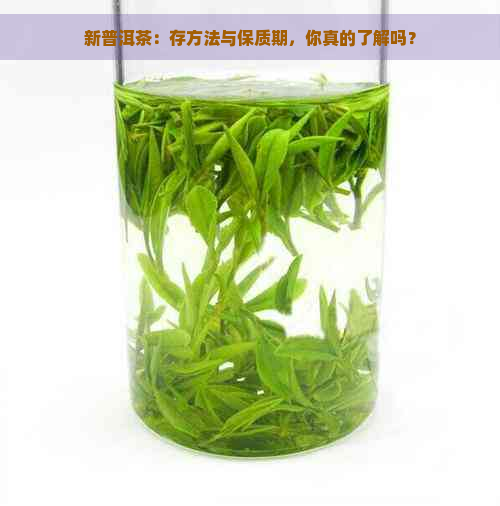 新普洱茶：存方法与保质期，你真的了解吗？