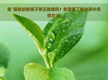 新 '隔夜的碎银子茶还能喝吗？你需要了解的茶叶保存方法'