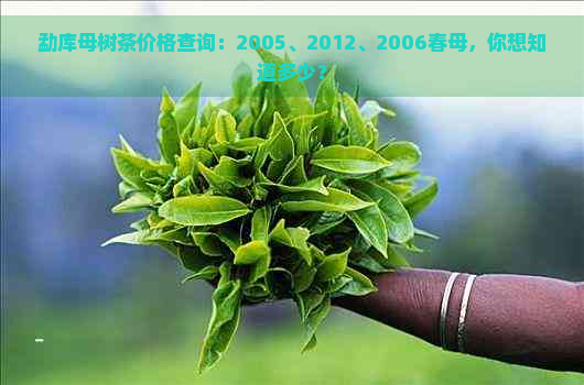 勐库母树茶价格查询：2005、2012、2006春母，你想知道多少？