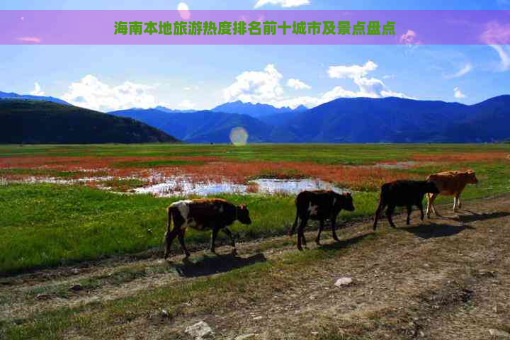 海南本地旅游热度排名前十城市及景点盘点