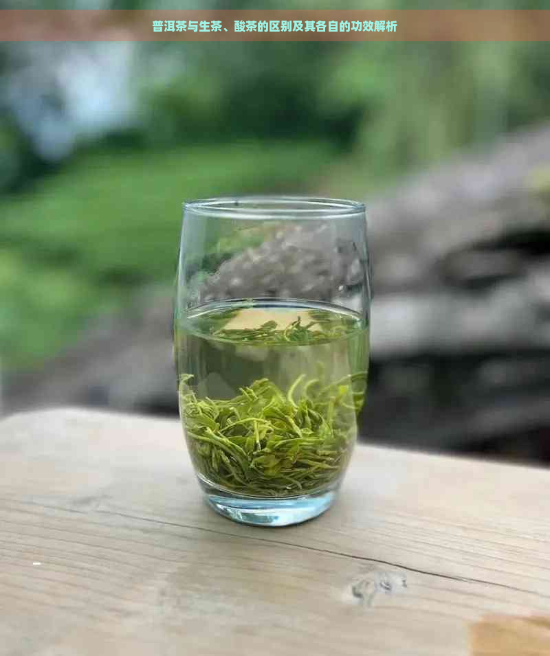 普洱茶与生茶、酸茶的区别及其各自的功效解析