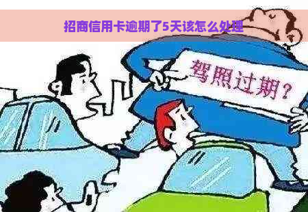 招商信用卡逾期了5天该怎么处理