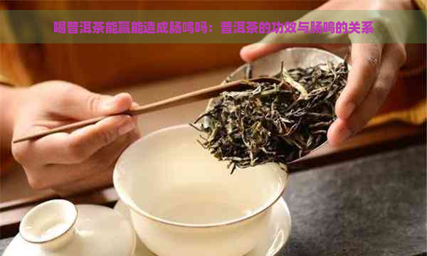 喝普洱茶能赢能造成肠鸣吗：普洱茶的功效与肠鸣的关系