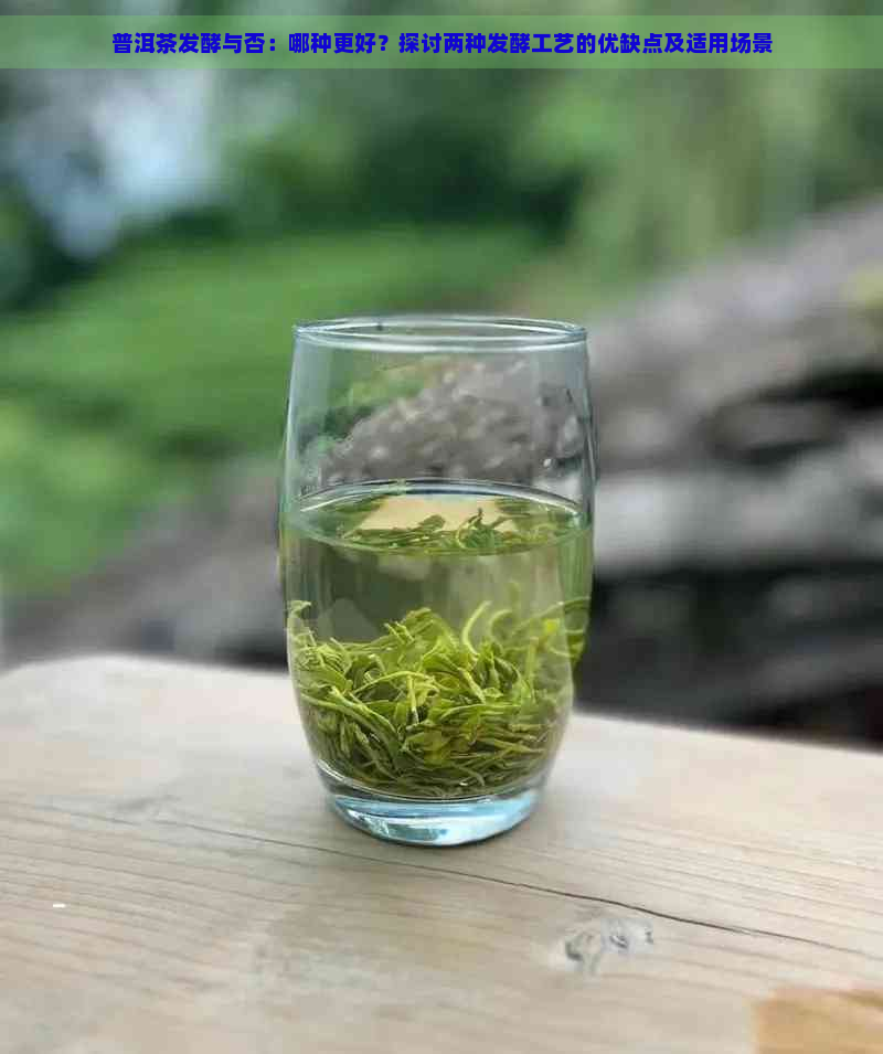 普洱茶发酵与否：哪种更好？探讨两种发酵工艺的优缺点及适用场景