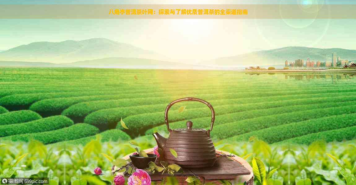 八角亭普洱茶叶网：探索与了解优质普洱茶的全渠道指南