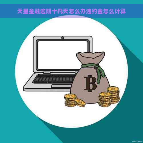 天星金融逾期十几天怎么办违约金怎么计算