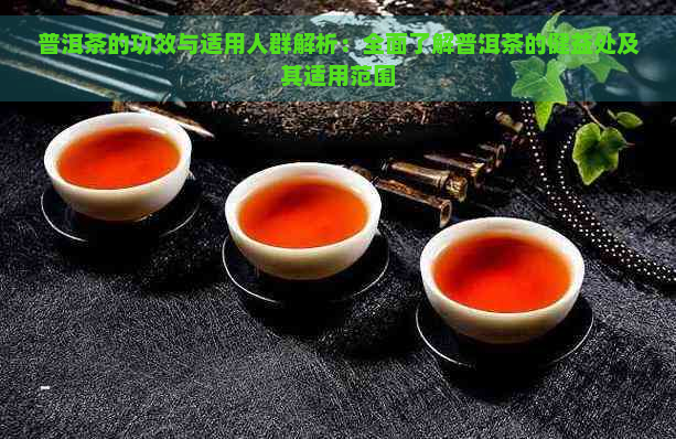 普洱茶的功效与适用人群解析：全面了解普洱茶的健益处及其适用范围