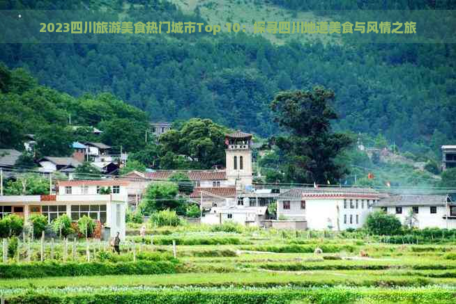 2023四川旅游美食热门城市Top 10：探寻四川地道美食与风情之旅