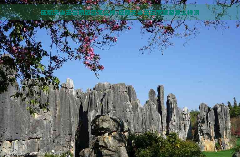 成都夫妻去云南旅游怎么样-成都夫妻去云南旅游怎么样啊