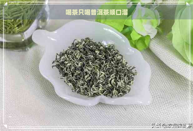 喝茶只喝普洱茶顺口溜