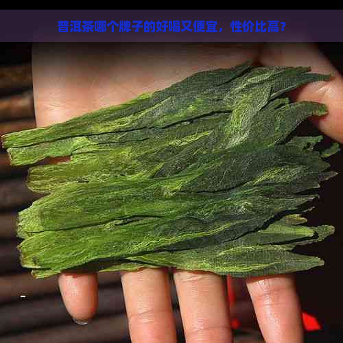 普洱茶哪个牌子的好喝又便宜，性价比高？