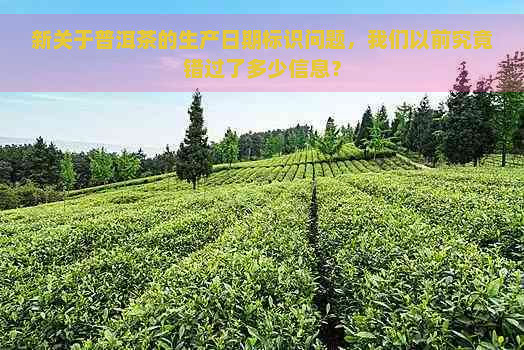 新关于普洱茶的生产日期标识问题，我们以前究竟错过了多少信息？