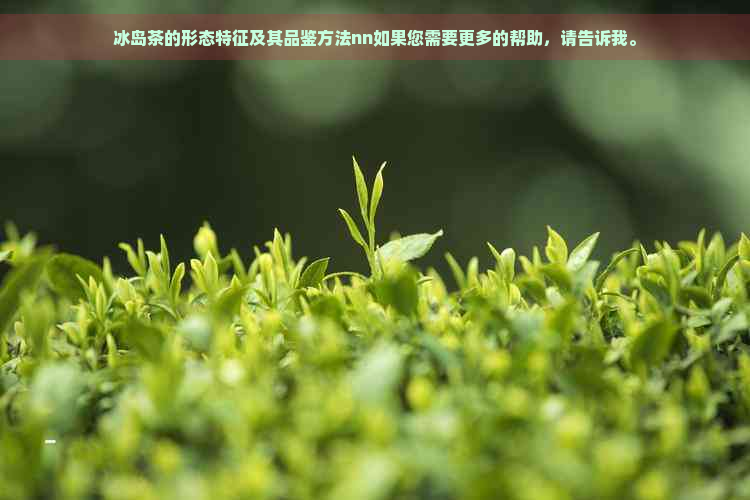 冰岛茶的形态特征及其品鉴方法nn如果您需要更多的帮助，请告诉我。