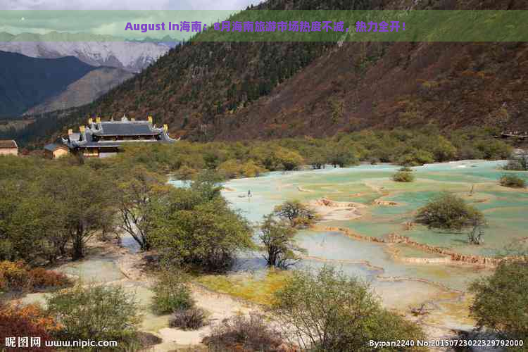  August in海南：8月海南旅游市场热度不减，热力全开！